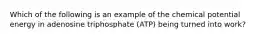 Which of the following is an example of the chemical potential energy in adenosine triphosphate (ATP) being turned into work?