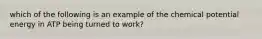 which of the following is an example of the chemical potential energy in ATP being turned to work?