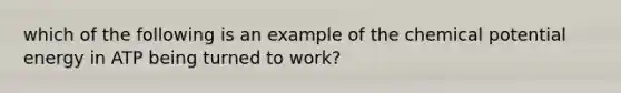 which of the following is an example of the chemical potential energy in ATP being turned to work?