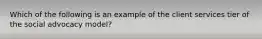 Which of the following is an example of the client services tier of the social advocacy model?