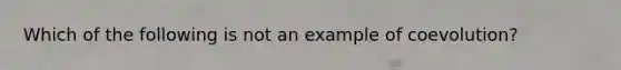 Which of the following is not an example of coevolution?