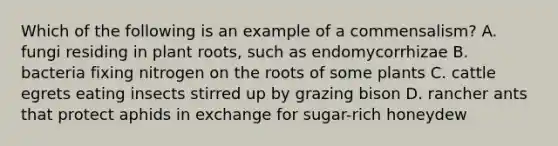 Which of the following is an example of a commensalism? A. fungi residing in plant roots, such as endomycorrhizae B. bacteria fixing nitrogen on the roots of some plants C. cattle egrets eating insects stirred up by grazing bison D. rancher ants that protect aphids in exchange for sugar-rich honeydew