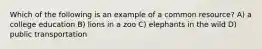 Which of the following is an example of a common resource? A) a college education B) lions in a zoo C) elephants in the wild D) public transportation