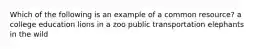 Which of the following is an example of a common resource? a college education lions in a zoo public transportation elephants in the wild