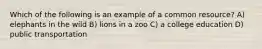 Which of the following is an example of a common resource? A) elephants in the wild B) lions in a zoo C) a college education D) public transportation