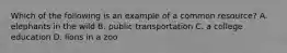 Which of the following is an example of a common resource? A. elephants in the wild B. public transportation C. a college education D. lions in a zoo