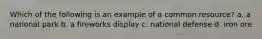 Which of the following is an example of a common resource? a. a national park b. a fireworks display c. national defense d. iron ore