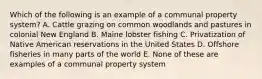 Which of the following is an example of a communal property system? A. Cattle grazing on common woodlands and pastures in colonial New England B. Maine lobster fishing C. Privatization of Native American reservations in the United States D. Offshore fisheries in many parts of the world E. None of these are examples of a communal property system