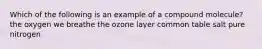 Which of the following is an example of a compound molecule? the oxygen we breathe the ozone layer common table salt pure nitrogen