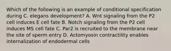 Which of the following is an example of conditional specification during C. elegans development? A. Wnt signaling from the P2 cell induces E cell fate B. Notch signaling from the P2 cell induces MS cell fate C. Par2 is recruited to the membrane near the site of sperm entry D. Actomyosin contractility enables internalization of endodermal cells