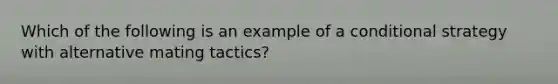 Which of the following is an example of a conditional strategy with alternative mating tactics?