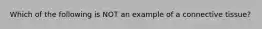 Which of the following is NOT an example of a connective tissue?