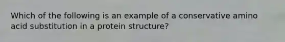 Which of the following is an example of a conservative amino acid substitution in a protein structure?