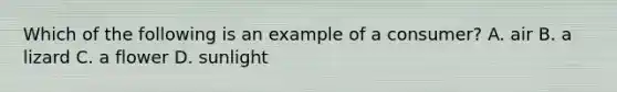 Which of the following is an example of a consumer? A. air B. a lizard C. a flower D. sunlight
