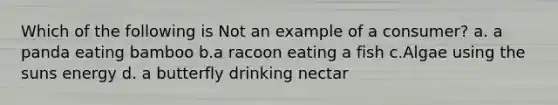 Which of the following is Not an example of a consumer? a. a panda eating bamboo b.a racoon eating a fish c.Algae using the suns energy d. a butterfly drinking nectar