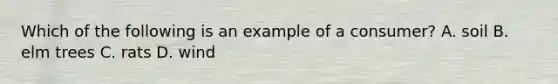 Which of the following is an example of a consumer? A. soil B. elm trees C. rats D. wind