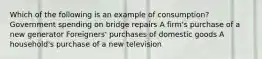 Which of the following is an example of consumption? Government spending on bridge repairs A firm's purchase of a new generator Foreigners' purchases of domestic goods A household's purchase of a new television