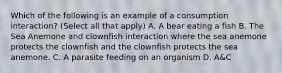 Which of the following is an example of a consumption interaction? (Select all that apply) A. A bear eating a fish B. The Sea Anemone and clownfish interaction where the sea anemone protects the clownfish and the clownfish protects the sea anemone. C. A parasite feeding on an organism D. A&C