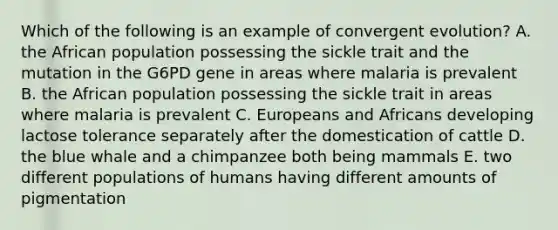 Which of the following is an example of convergent evolution? A. the African population possessing the sickle trait and the mutation in the G6PD gene in areas where malaria is prevalent B. the African population possessing the sickle trait in areas where malaria is prevalent C. Europeans and Africans developing lactose tolerance separately after the domestication of cattle D. the blue whale and a chimpanzee both being mammals E. two different populations of humans having different amounts of pigmentation