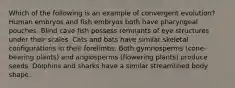 Which of the following is an example of convergent evolution? Human embryos and fish embryos both have pharyngeal pouches. Blind cave fish possess remnants of eye structures under their scales. Cats and bats have similar skeletal configurations in their forelimbs. Both gymnosperms (cone-bearing plants) and angiosperms (flowering plants) produce seeds. Dolphins and sharks have a similar streamlined body shape.