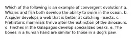Which of the following is an example of convergent evolution? a. Whales and fish both develop the ability to swim in the ocean. b. A spider develops a web that is better at catching insects. c. Prehistoric mammals thrive after the extinction of the dinosaurs. d. Finches in the Galapagos develop specialized beaks. e. The bones in a human hand are similar to those in a dog's paw.