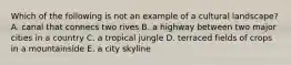 Which of the following is not an example of a cultural landscape? A. canal that connecs two rives B. a highway between two major cities in a country C. a tropical jungle D. terraced fields of crops in a mountainside E. a city skyline