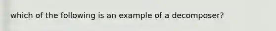 which of the following is an example of a decomposer?