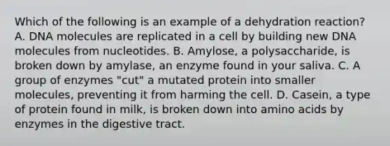 Which of the following is an example of a dehydration reaction? A. DNA molecules are replicated in a cell by building new DNA molecules from nucleotides. B. Amylose, a polysaccharide, is broken down by amylase, an enzyme found in your saliva. C. A group of enzymes "cut" a mutated protein into smaller molecules, preventing it from harming the cell. D. Casein, a type of protein found in milk, is broken down into amino acids by enzymes in the digestive tract.