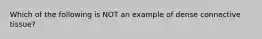 Which of the following is NOT an example of dense connective tissue?