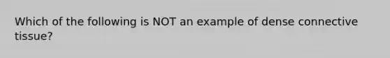 Which of the following is NOT an example of dense connective tissue?