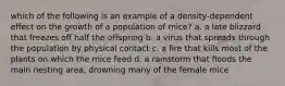 which of the following is an example of a density-dependent effect on the growth of a population of mice? a. a late blizzard that freezes off half the offspring b. a virus that spreads through the population by physical contact c. a fire that kills most of the plants on which the mice feed d. a rainstorm that floods the main nesting area, drowning many of the female mice