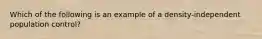 Which of the following is an example of a density-independent population control?