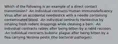 Which of the following is an example of a direct contact transmission? -An individual contracts Human Immunodeficiency Virus after an accidental needlestick with a needle containing contaminated blood. -An individual contracts Hantavirus by inhaling fresh rodent droppings while cleaning a barn. -An individual contracts rabies after being bitten by a rabid raccoon. -An individual contracts bubonic plague after being bitten by a flea carrying Yersinia pestis (the bacterial pathogen).