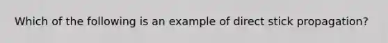 Which of the following is an example of direct stick propagation?