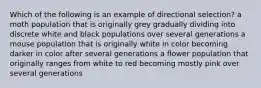 Which of the following is an example of directional selection? a moth population that is originally grey gradually dividing into discrete white and black populations over several generations a mouse population that is originally white in color becoming darker in color after several generations a flower population that originally ranges from white to red becoming mostly pink over several generations