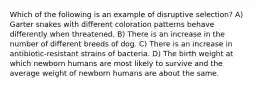 Which of the following is an example of disruptive selection? A) Garter snakes with different coloration patterns behave differently when threatened. B) There is an increase in the number of different breeds of dog. C) There is an increase in antibiotic-resistant strains of bacteria. D) The birth weight at which newborn humans are most likely to survive and the average weight of newborn humans are about the same.