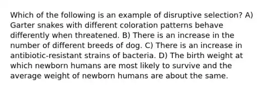 Which of the following is an example of disruptive selection? A) Garter snakes with different coloration patterns behave differently when threatened. B) There is an increase in the number of different breeds of dog. C) There is an increase in antibiotic-resistant strains of bacteria. D) The birth weight at which newborn humans are most likely to survive and the average weight of newborn humans are about the same.