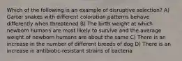 Which of the following is an example of disruptive selection? A) Garter snakes with different coloration patterns behave differently when threatened B) The birth weight at which newborn humans are most likely to survive and the average weight of newborn humans are about the same C) There is an increase in the number of different breeds of dog D) There is an increase in antibiotic-resistant strains of bacteria