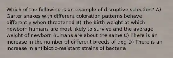 Which of the following is an example of disruptive selection? A) Garter snakes with different coloration patterns behave differently when threatened B) The birth weight at which newborn humans are most likely to survive and the average weight of newborn humans are about the same C) There is an increase in the number of different breeds of dog D) There is an increase in antibiotic-resistant strains of bacteria