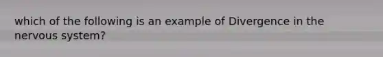 which of the following is an example of Divergence in the nervous system?