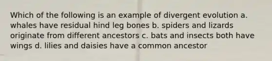 Which of the following is an example of divergent evolution a. whales have residual hind leg bones b. spiders and lizards originate from different ancestors c. bats and insects both have wings d. lilies and daisies have a common ancestor