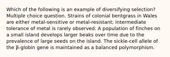 Which of the following is an example of diversifying selection? Multiple choice question. Strains of colonial bentgrass in Wales are either metal-sensitive or metal-resistant; intermediate tolerance of metal is rarely observed. A population of finches on a small island develops larger beaks over time due to the prevalence of large seeds on the island. The sickle-cell allele of the β-globin gene is maintained as a balanced polymorphism.