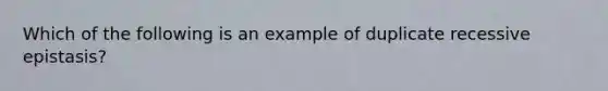 Which of the following is an example of duplicate recessive epistasis?