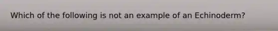 Which of the following is not an example of an Echinoderm?