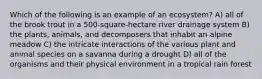 Which of the following is an example of an ecosystem? A) all of the brook trout in a 500-square-hectare river drainage system B) the plants, animals, and decomposers that inhabit an alpine meadow C) the intricate interactions of the various plant and animal species on a savanna during a drought D) all of the organisms and their physical environment in a tropical rain forest