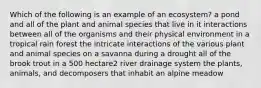 Which of the following is an example of an ecosystem? a pond and all of the plant and animal species that live in it interactions between all of the organisms and their physical environment in a tropical rain forest the intricate interactions of the various plant and animal species on a savanna during a drought all of the brook trout in a 500 hectare2 river drainage system the plants, animals, and decomposers that inhabit an alpine meadow