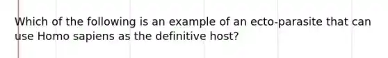 Which of the following is an example of an ecto-parasite that can use Homo sapiens as the definitive host?