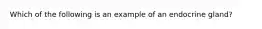 Which of the following is an example of an endocrine gland?