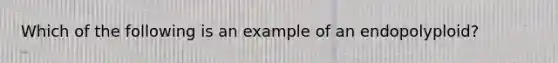 Which of the following is an example of an endopolyploid?