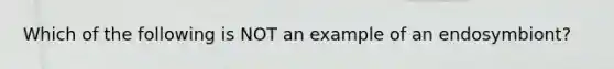 Which of the following is NOT an example of an endosymbiont?